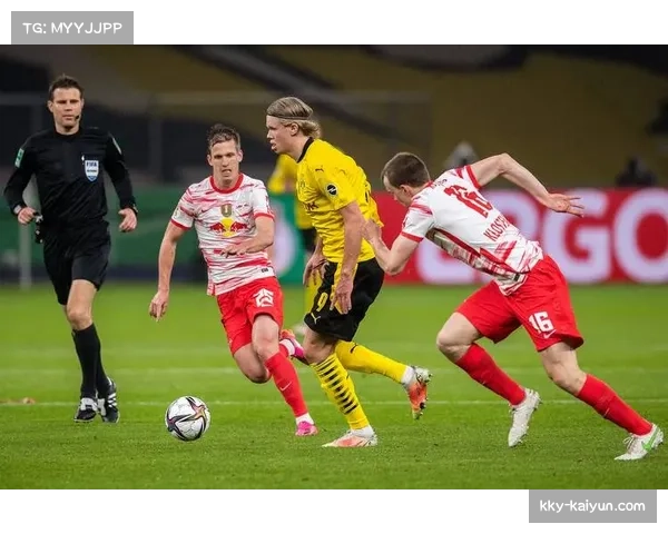 多特蒙德南看台黄墙文化入选德国足球遗产名录